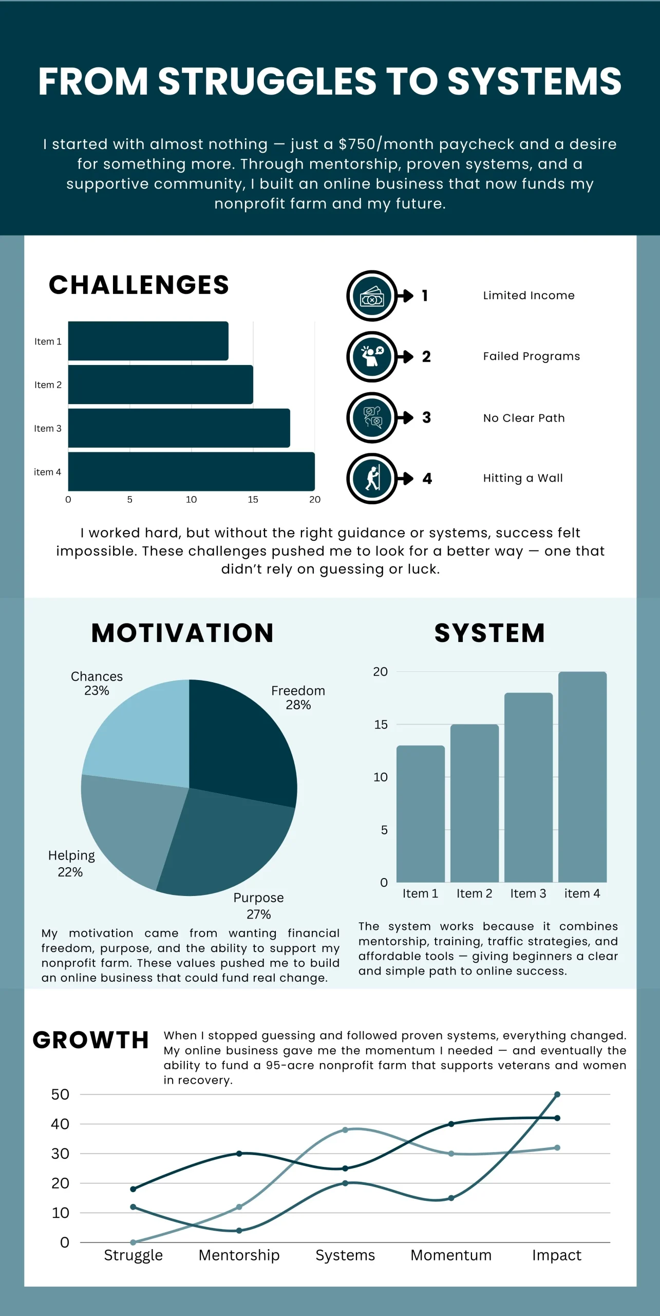 Struggles to Systems blog _ Infographic - Marketing for Older Folks online business success stories